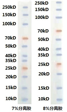 1625110261922961.png 622222222222.png