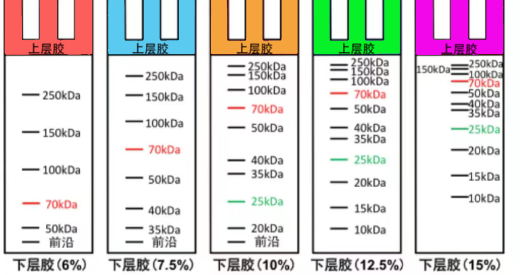 1667523750478838.jpg ba21dc215f29036f13af610d95898e6.jpg