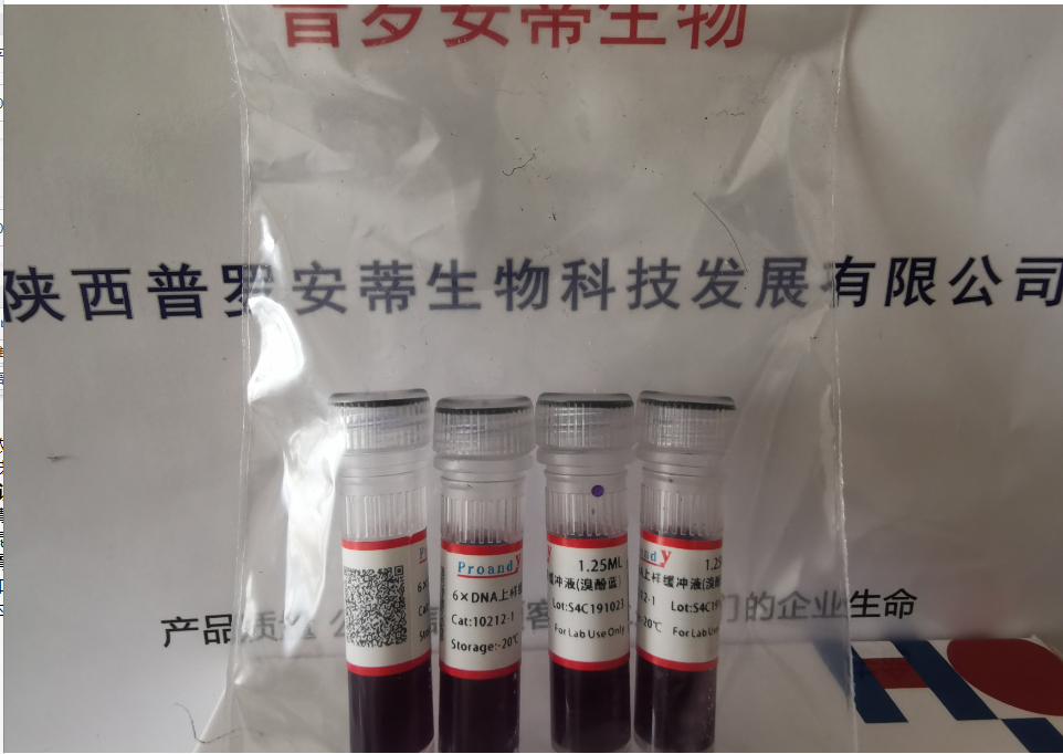 1697776103388534.png 6xDNA上樣液.png