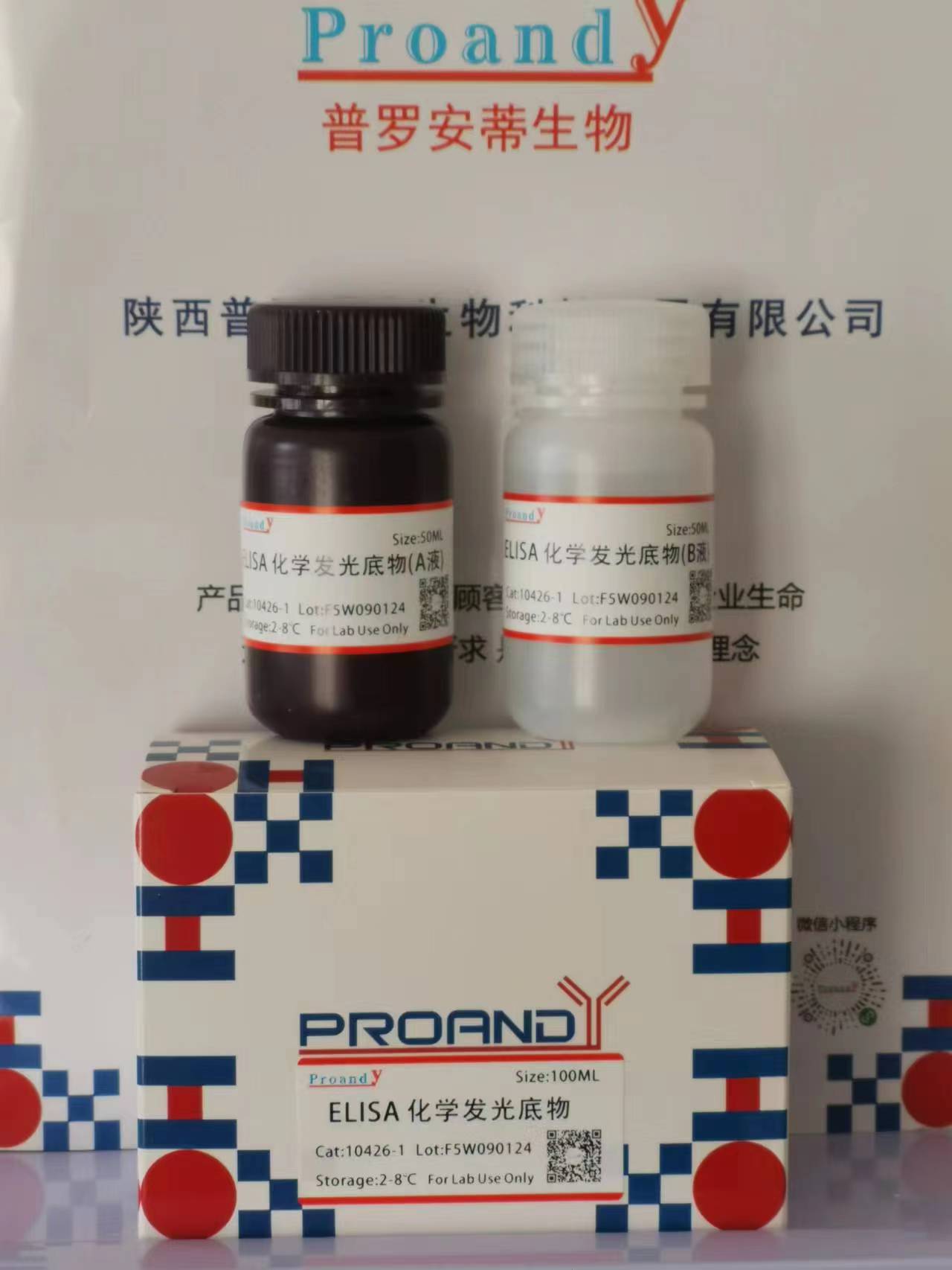 1704788202417739.jpg Elisa 極敏ECL.jpg