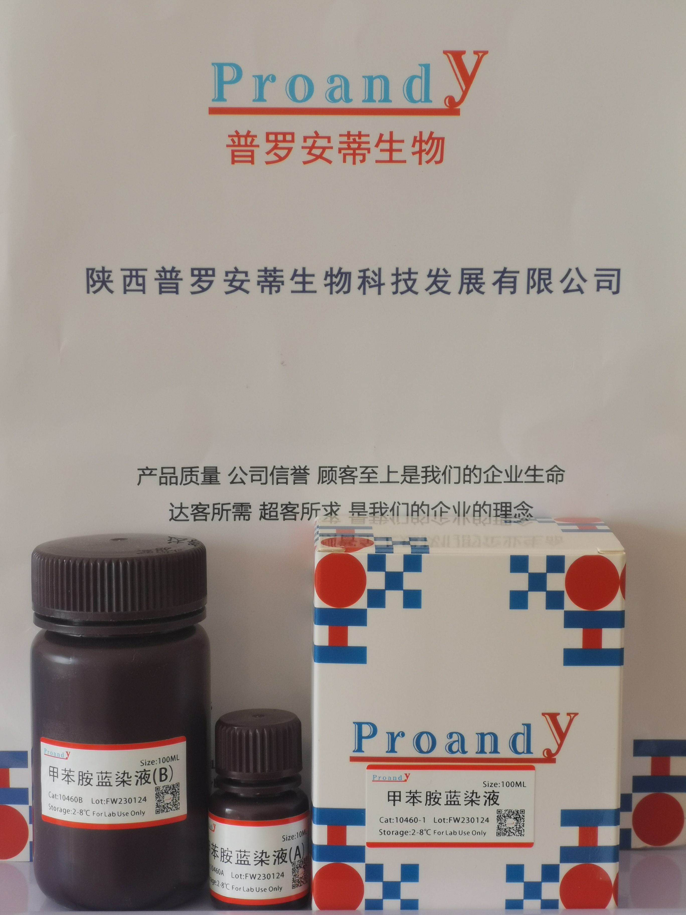 1705904647402777.jpg 甲苯胺藍(lán)染液.jpg