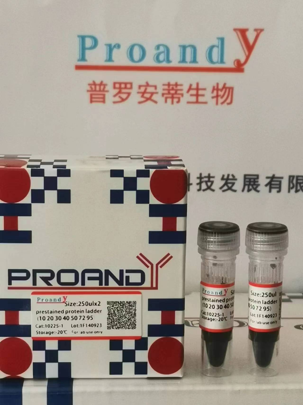 1709195972716913.jpg 蛋白Marker(10-95).jpg