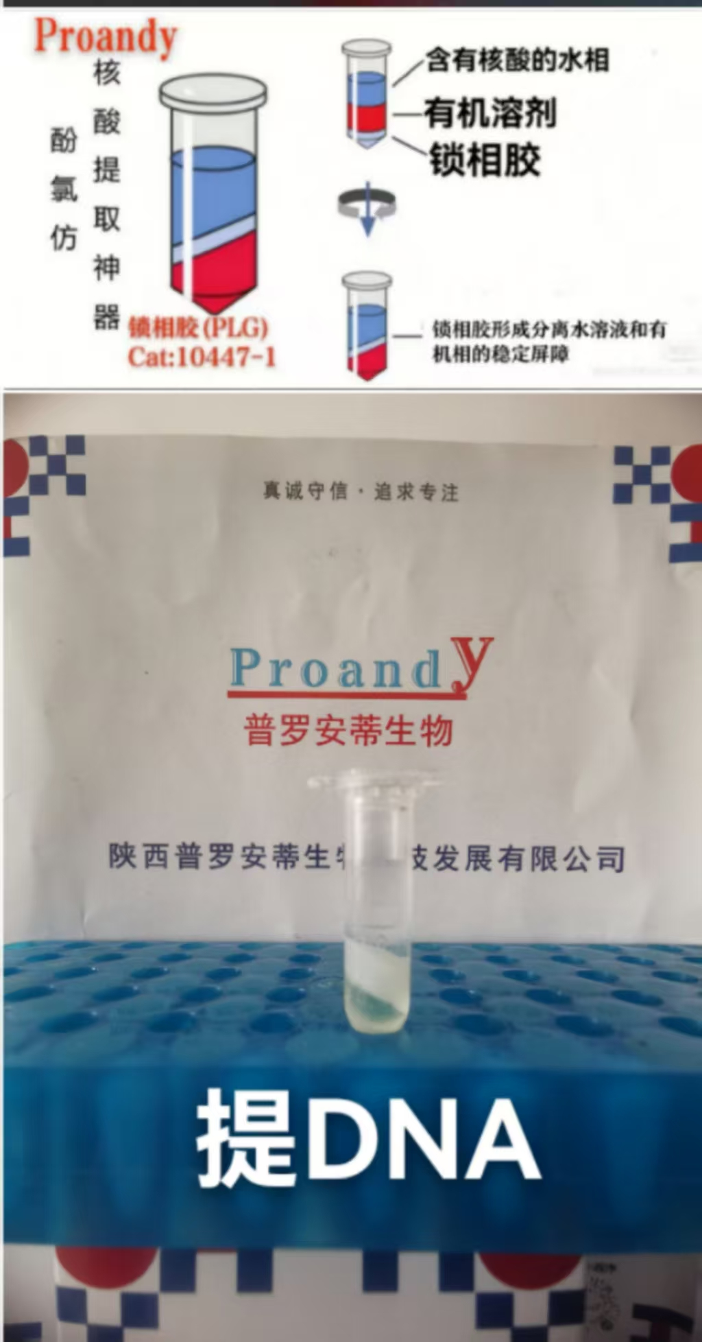 1744607353331416.png image.png